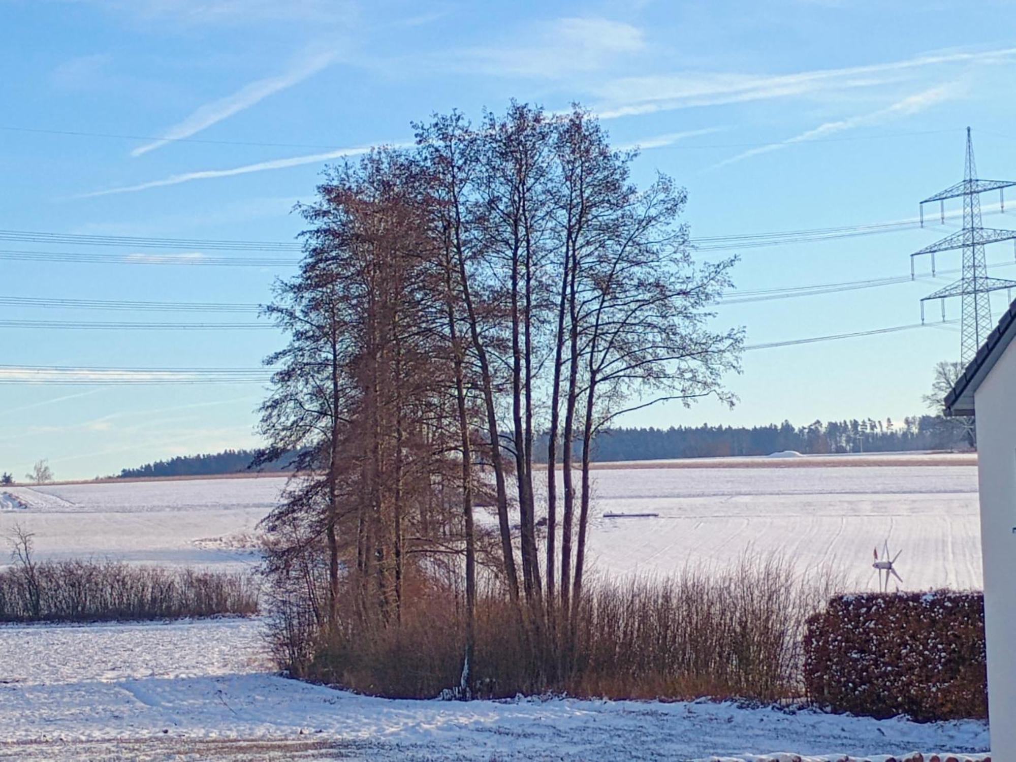 Monteurzimmer Beate Ackermann Hochstadt am Main Экстерьер фото